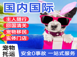 义乌航空快运国际宠物托运 【国